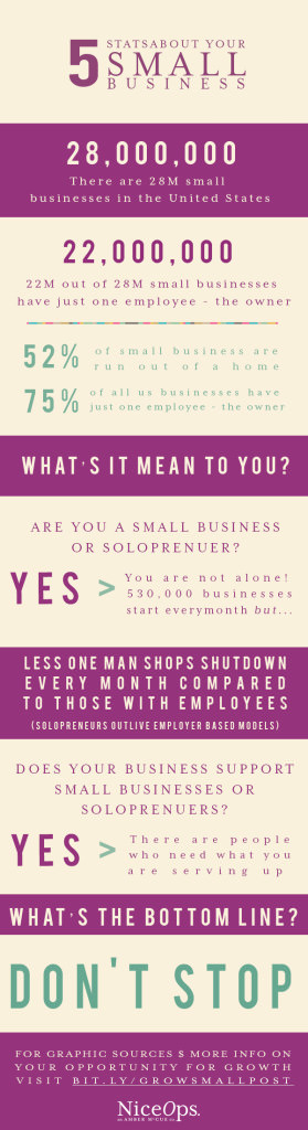 Small Business Opportunity Info Graphic2